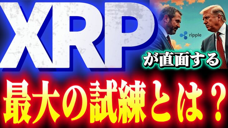【ＸＲＰ激変】ブラックロック元社員が警鐘をならす金融リセットの真実とは!?#仮想通貨#リップル#暗号資産#XRP