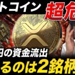 【XRP速報】アルトコインはもう2度と上がらない?! 生き残る2銘柄の正体とは 【仮想通貨 最新情報】