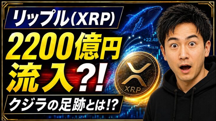 【リップル(XRP)】2200億円流入の裏！ビットコインを凌駕する相対的な強さとクジラの意図を徹底解説！【仮想通貨】