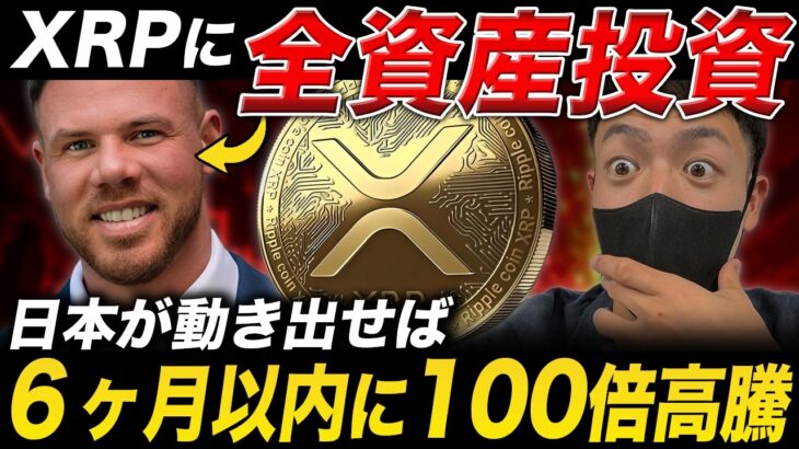 【XRP速報】全資産をリップルへ投資。6ヶ月以内に100ドルを突破する3つの条件とは？【仮想通貨 最新予想】