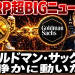 ⚠️XRP超BIGニュース⚠️ゴールドマン・サックス、XRP最大保有機関に浮上