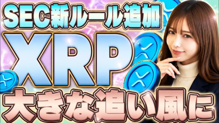 【XRP（リップル）】SECが7月から新ルール。これ知らないと危険です【初心者でも10分で解説】