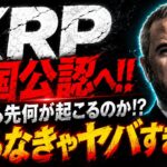 リップル速報!!XRPが米国の公的資産に明記!!徹底解剖SP!!#仮想通貨#リップル#暗号資産#xrp