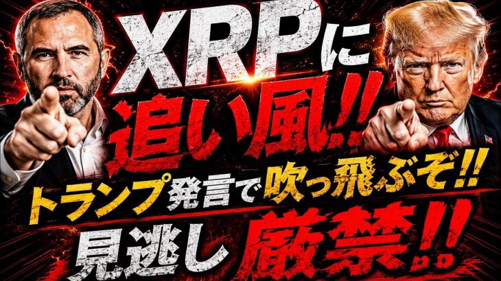 XRP速報!!トランプ発言でXRPに追い風!!裏側部分まで解説SP!!#仮想通貨#リップル#暗号資産#XRP