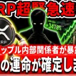 🟡XRP保有者は今すぐ見て🟡”内部すぎる情報”盛りだくさん（ホワイトハウスの極秘データ）（リップル関係者の暴露）#xrp #リップル #暗号資産
