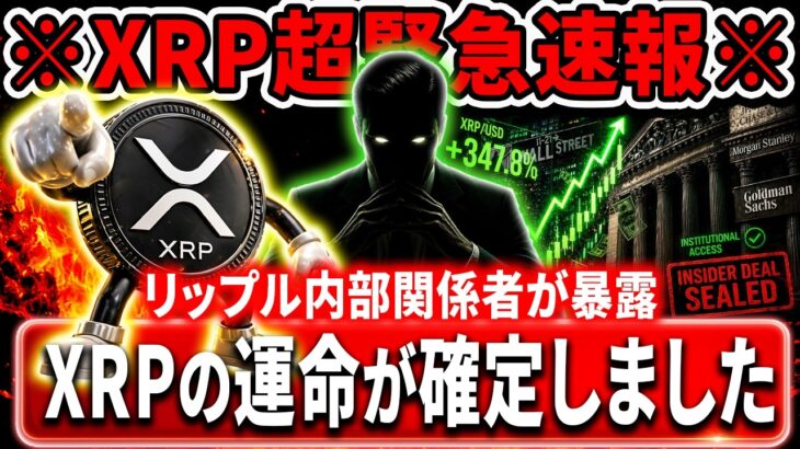 🟡XRP保有者は今すぐ見て🟡”内部すぎる情報”盛りだくさん（ホワイトハウスの極秘データ）（リップル関係者の暴露）#xrp #リップル #暗号資産