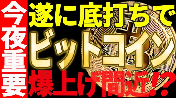 ビットコインは底打ちで爆上げ間近なのか⁉今夜が超重要です！【仮想通貨】