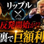 リップルがようやく反発開始！？その裏で巨額の利益をトランプが。。